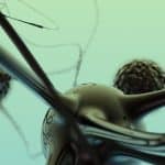 Open source research is a hub